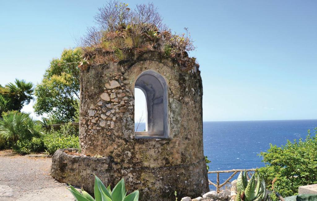 Nella Torre *